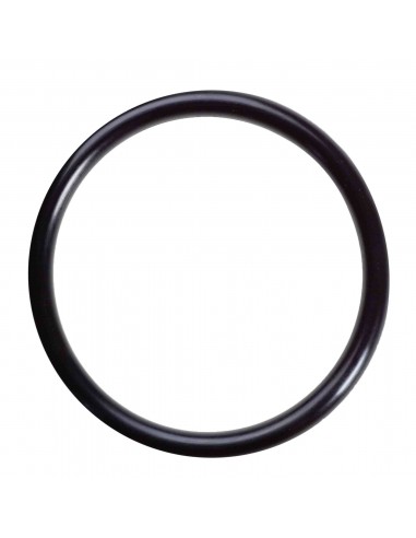 21 mm x 1.5 mm O-Ring