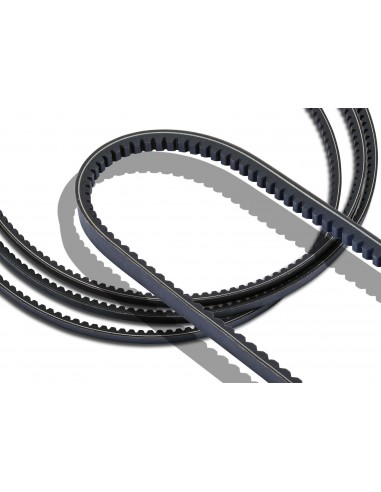 AVX 10X1150 Cogged Raw Edge V Belt