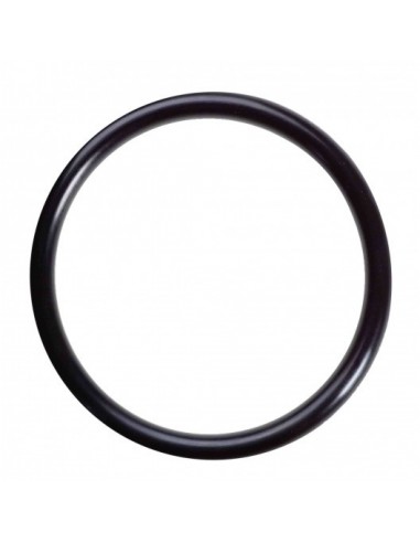 58 mm x 2 mm O-Ring
