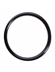 84 mm x 2.5 mm O-Ring