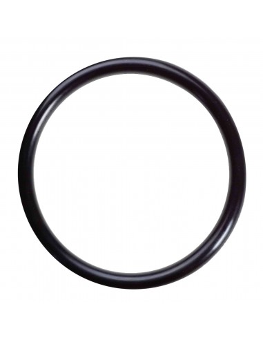 10 mm x 2 mm O-Ring