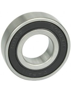 61905-2RS Branded Bearing