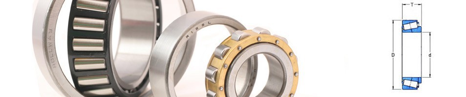 Metric taper bearings | Mayday Seals & Bearings