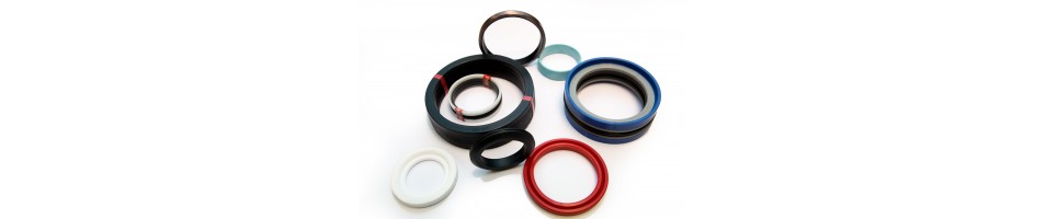 Seal kits for cylinders | Mayday Seals & Bearings
